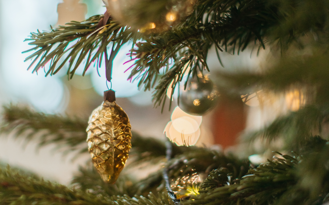 Christmas Gift Ideas: Holistic Wellbeing Edition